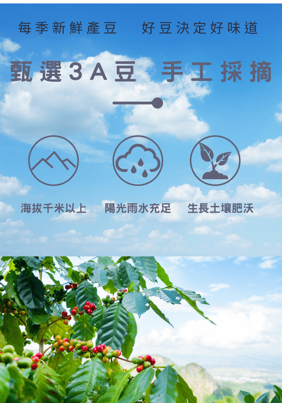 3A已壓 3A已壓